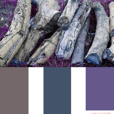 Color Inspiration: Deep purple and Blue Green
