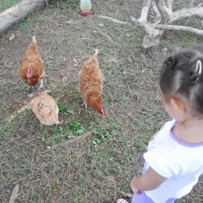 My Kids and a Typical Day in the Farm