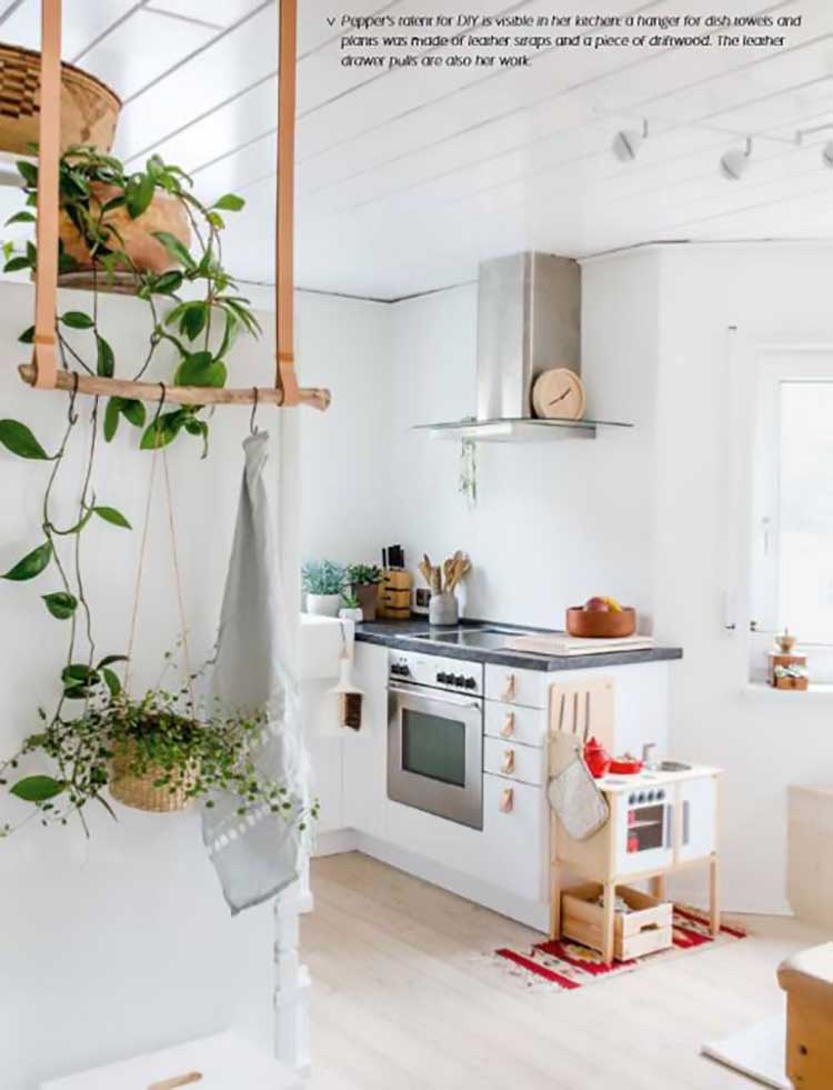 Insta Worthy Indoor Plants to Freshen Up Your Home